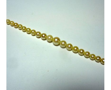 A PEARL NECKLACE, comprising of a row of 81 graduated cultured pearls to the oval clasp, stamped 9ct, length 37cm, within For