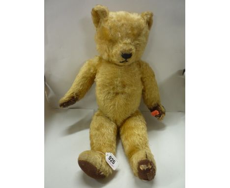 A CHAD VALLEY GOLDEN PLUSH TEDDY BEAR, jointed body, growler (not working), missing eyes, horizontal stitched nose, wool fill