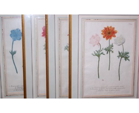 Ten 19th century botanical colour engravings, each annotated in Latin and from a long run of numbered plates, each approx 32x