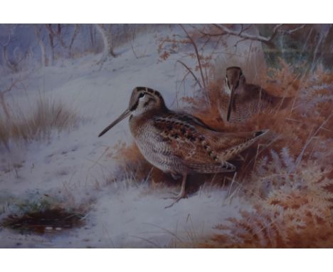 After Archibald Thorburn FZS (1860-1935), coloured print, 'Woodcock In Snow' &amp; 'Pheasants In Winter', framed, mounted, an