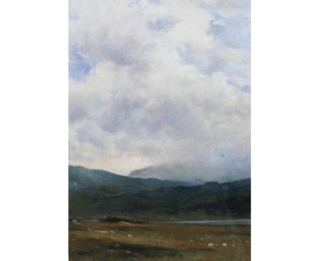 John R. Todd (Scottish, 20th century): a mountainous landscape with sheep and a croft in the foreground, oil on board, signed