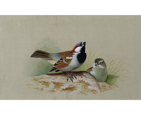 Two late 19th / early 20th century miniature paintings of birds, one of finches, the other a pigeon, originally leaves from a