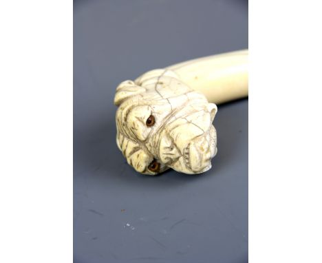 A 19th Century carved ivory bulldog head for walking stick handle with glass eyes, H. 9cm.