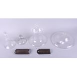 A set of four Victorian glass light shades with two metal nutmeg graters
