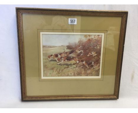 COLOUR PRINT, INDISTINCTLY SIGNED, FOX HOUNDS ON THE SCENT, 14” X 16”