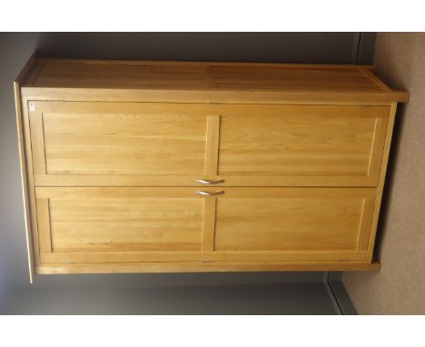 Light oak double wardrobe, projecting cornice, two panelled doors, stile supports, W110cm, H192cm, D58cm