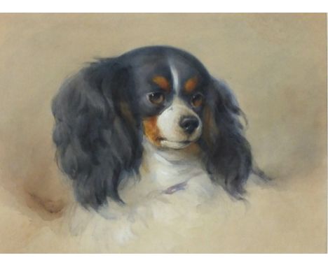 ? WAGENAM 19th Century watercolour Portrait of a Cavalier King Charles Spaniel Signed and dated (18)84 9.25” x 12.25”(23.5cm 