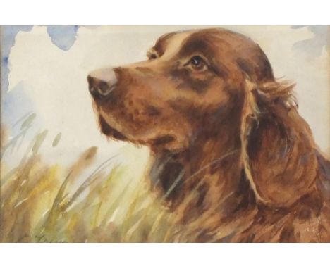 L* FRASER Watercolour Portrait of a Irish Red Setter Signed 6.25” x 9” (16cm x 23cm)