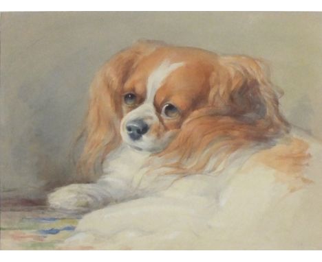 ? WAGENAM 19th Century watercolour Portrait of a Cavalier King Charles Spaniel 9.25” x 12.25”(23.5cm x 31.1cm)