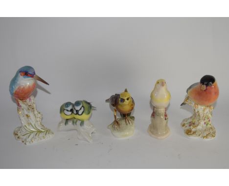 Quantity of porcelain bird studies including a Royal Worcester model of a woodpecker and a Royal Worcester model of a robin o