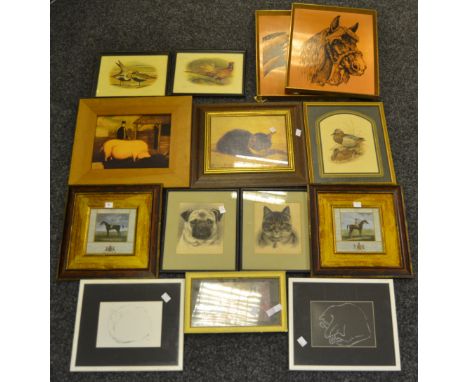 Pictures and Prints - ornithological prints; copper etchings of horses; after Tom Haywood, etchings of cats and dogs; etc.