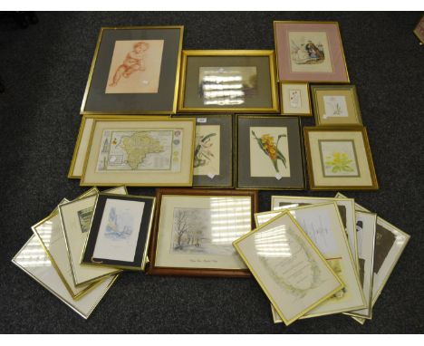 Pictures and Prints - botanical prints, Caneletto; etc. qty.