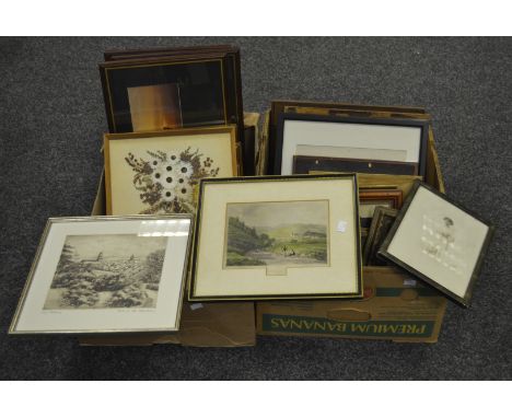 Pictures and Prints - a flower pressing of Western Australia wild flowers; after J.C Hoffland, 'Hathersage'; a Victorian phot