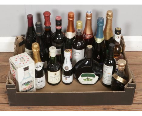 Seventeen bottles of mixed wine and spirits, including , Kumquat Brandy, 2009 Marques de Marialva Bruto Reserva, Pilavas Ouzo