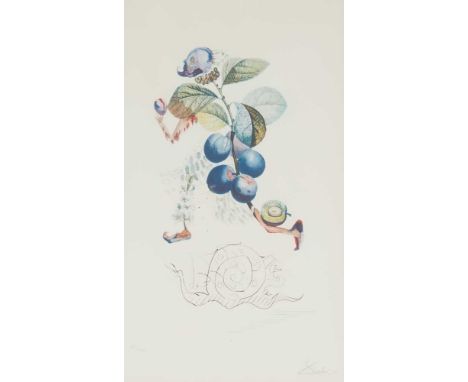 § SALVADOR DALI (SPANISH 1904-1989) PRUNIER HÂTIF (HASTY PLUM) Lithograph and drypoint, 132/200, signed and numbered in penci