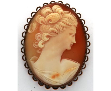 Shell cameo brooch on a yellow metal mount, with safety chain (intact), 40 x 60 mm. P&amp;P Group 1 (£14+VAT for the first lo