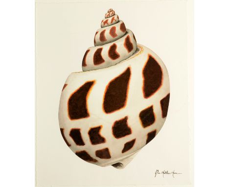 JOHN MATTHEW MOORE
Seashell
Offset lithograph
Signed to the plate
41 x 34cm
Together with two relief panels by Ralph Brabbett