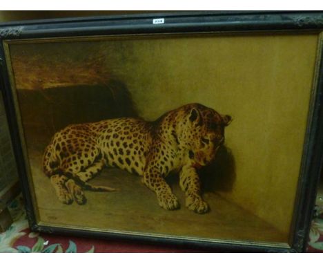 A large coloured print of a recumbant leopard, after J.S. Noble, 67 x 91cm in black and gilt moulded frame with antiqued fini