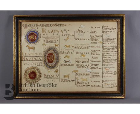 Crabbet Park Stud original pedigree by Lady Wentworth. This pedigree is for champion Razina a purebred Arabian mare, foaled A