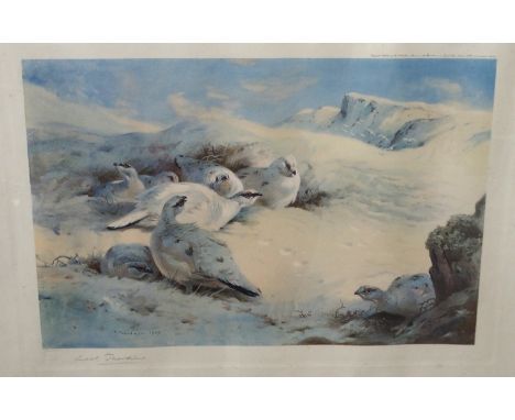 ARCHIEBALD THORBURN Widgeon and Teal, signed, print, 23 x 32cm, Ptarmigan, signed, print, 35 x 50cm and J.C.HARRISON (3) Cond