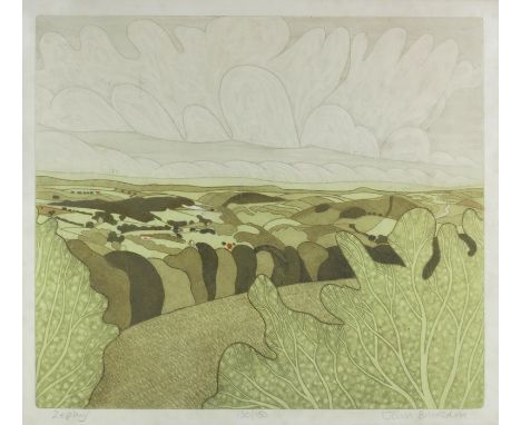 John Brunsdon (1933-2014), Zephyr, coloured lithograph, signed and numbered 130 of 150, 40cm x 45cm, framed
