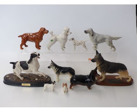 Ten Beswick dog figures including, Jack Russell, spaniels, German Shepherd etc