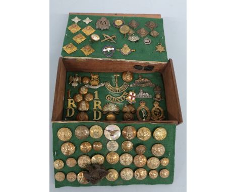 A collection of military buttons and cap badges including Gloucestershire Regiment, Lincolnshire Regiment and Royal Dragoons 
