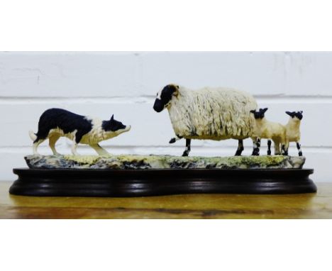 A Border Fine Arts model of a sheep dog, with ewe and lambs, signed Ayres, dated 1982, on a stained wood plinth base