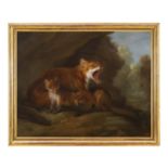 Georges Stubbs ( Liverpool 1724 - Londra 1806) cerchia di
