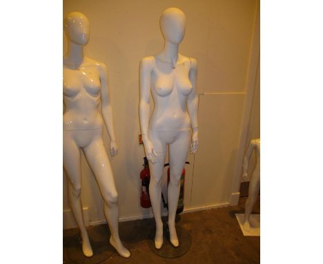 Female Mannequin 