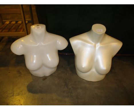 Two Mannequin Busts 