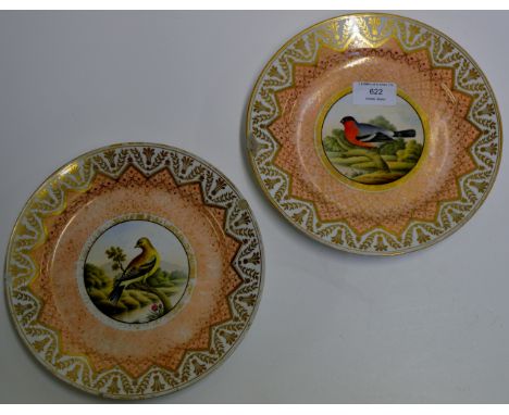 PAIR OF 8½" 19TH CENTURY CHAMBERLAINS WORCESTER HAND PAINTED PORCELAIN PLATES DECORATED WITH BIRDS - AMERICAN GOLDFINCH & BUL