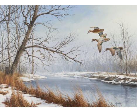 David A. Maass (American, b. 1929). Oil on board painting depicting three flying Green-Winged Teal above a wintery landscape.