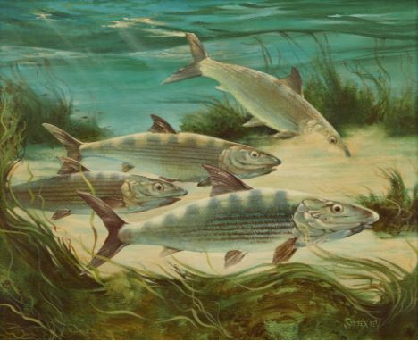Fred Sweney (American, 1912-1996). Oil on canvas painting depicting a school of bonefish along the sandy floor of a body of w