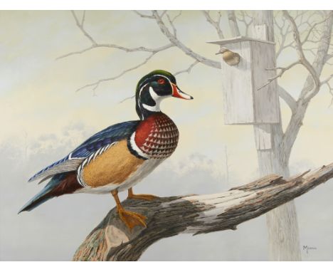 David A. Maass (American, b. 1929). Oil on board painting titled "The Guardian" depicting a wood duck drake resting on a tree