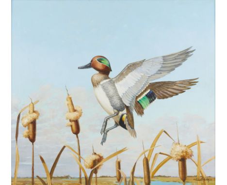 Richard Evett Bishop (American, 1887-1975). Oil on canvas painting titled "Out of the Cattails" depicting a green-winged teal