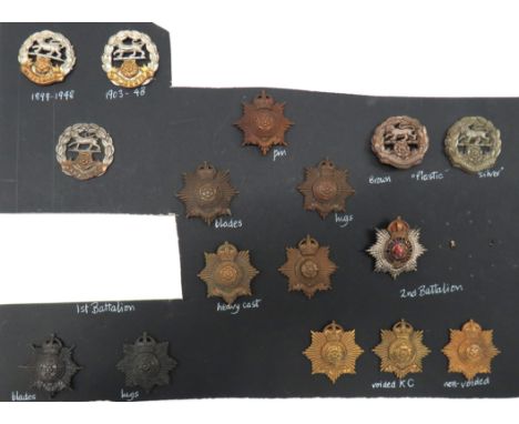 16 x Hampshire Regiment Cap Badgesincluding bi-metal, slider ... Plastic economy, blades ... Bronzed KC, blades ... Bronzed K