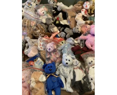 TY very Large Beanie baby collection vintage teddy bears dolls to include ; &nbsp;February; Hope; Romance; Unity; Kicks; Mist