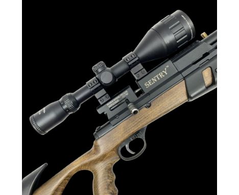Lee Enfield Sentry Model 705 .22 cal. PCP rifle, with Nikko Stirling Mountmaster 4-12 x 50 scope and wooden stock with pistol