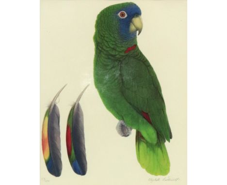 Elizabeth Butterworth (British b. 1949), A Red Necked Amazon, signed and numbered in pencil 'Elizabeth Butterworth 59/750' (i