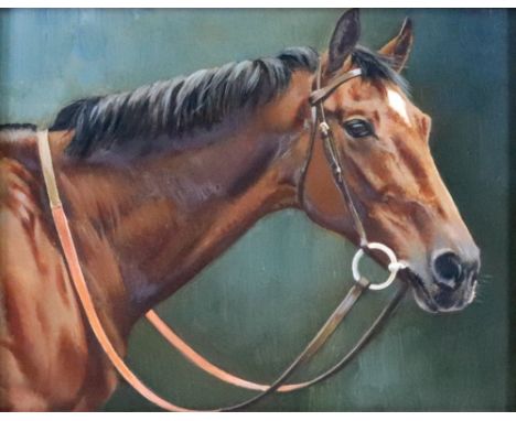 English School, 20th Century, Portrait of a horse, oil on board, 17 x 22cm.