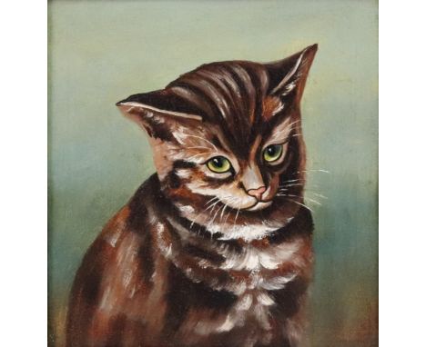 English School, 20th Century, Portrait of a cat, oil on canvas, 25 x 23cm.