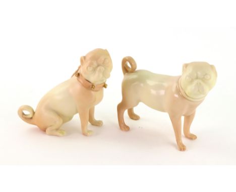 Two Royal Worcester blush ivory figures of pug dogs with gilt collars, purple printed marks, 11 & 10cm wide respectively (2).