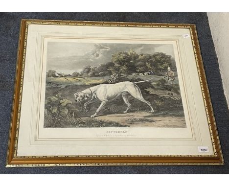 A 19th century style print of a dog, September, 46 x 56 cm and its pair, October (2) 