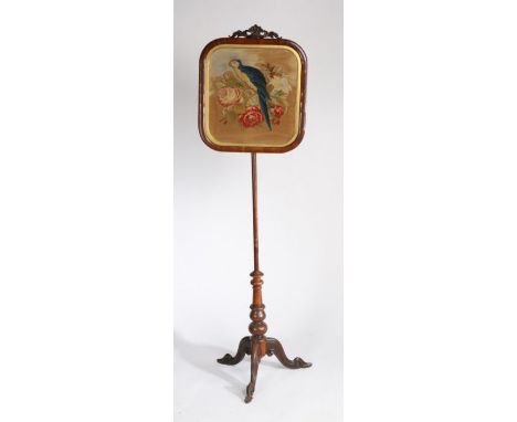 William IV rosewood and mahogany fire screen, the&nbsp; wool work screen depicting a parrot among flowers and housed within t