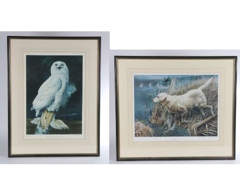 After Barry Driscoll (1926-2006) Snowy Owl, pencil signed print, Pelham Editions, 62cm x 44cm; together with The Yellow Labra