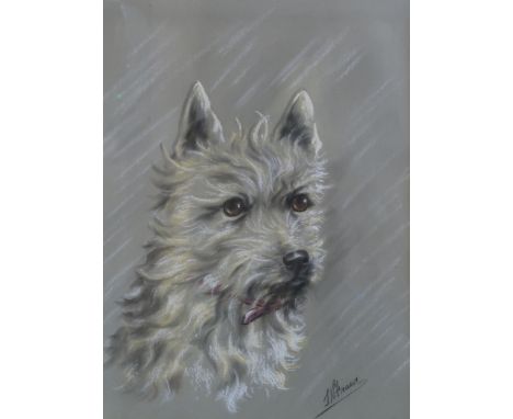 L W FRASER&nbsp;Terrier portrait head, signed, pastel, 32 x 24cm Condition Report:Available upon request