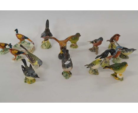 Collection of various Beswick birds, White Throat, Green Finch, Kingfisher, Robin and Pheasant pin dishes etc