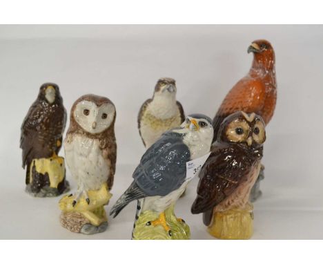 Further group of Royal Doulton and Beswick models of birds including a Merlin, Barn Owl, Tawny Owl, modelled by John Tongue e