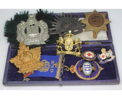 A mixed lot comprising a RAOB hallmarked silver gilt medallion, five military cap badges and two enamel badges.  